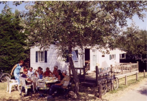 wmh03.jpg